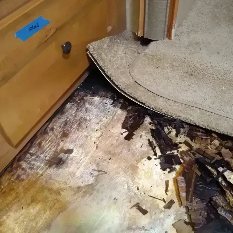 Wood Floor Water Damage in Winter Garden, FL